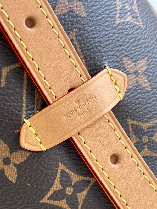 l0*is V*t0n carryall mm